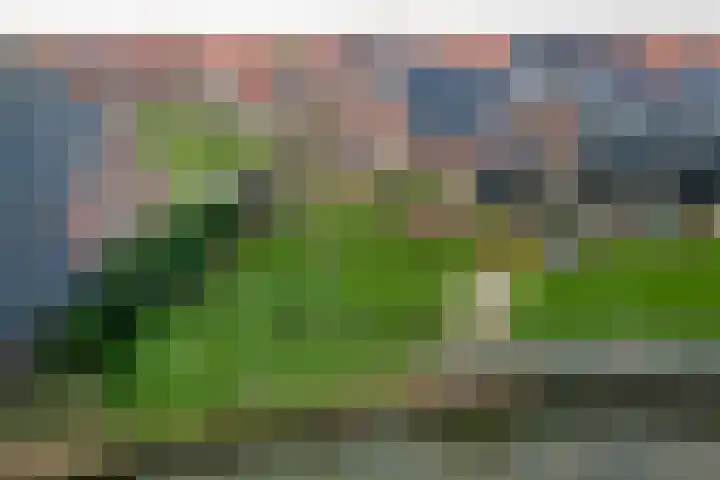 It Ferset 37 Makkum thumbnail 28