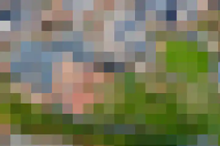 It Ferset 37 Makkum thumbnail 29
