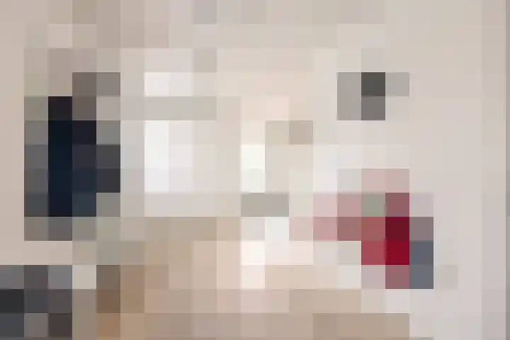 It Ferset 37 Makkum thumbnail 31