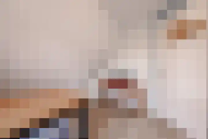 It Ferset 37 Makkum thumbnail 35