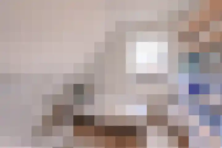 It Ferset 37 Makkum thumbnail 36