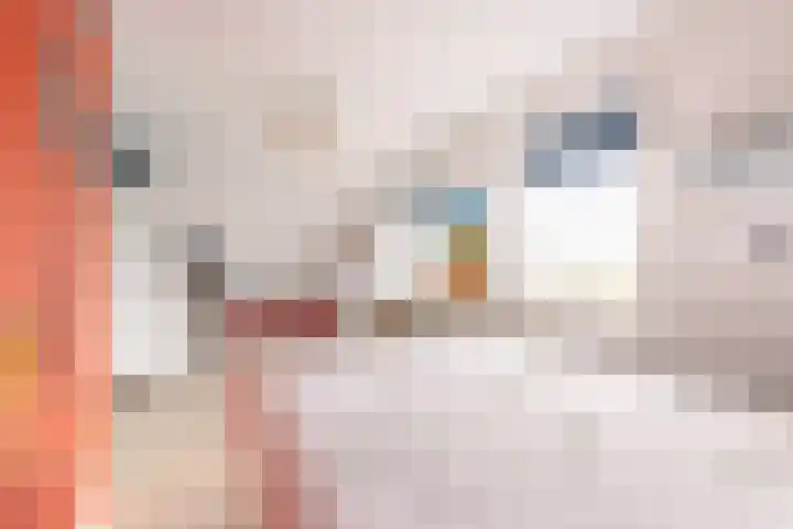 It Ferset 37 Makkum thumbnail 40