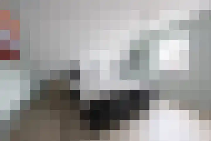 It Ferset 37 Makkum thumbnail 41