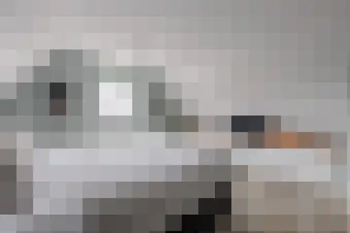 It Ferset 37 Makkum thumbnail 42