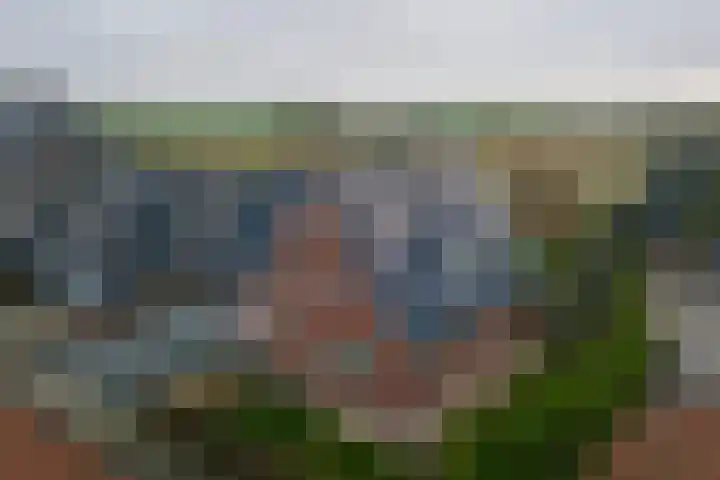 It Ferset 37 Makkum thumbnail 46