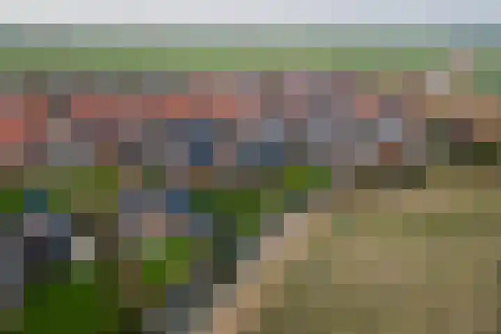 It Ferset 37 Makkum thumbnail 47