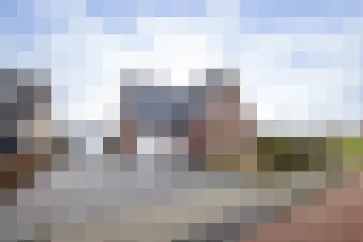 It Ferset 37 Makkum thumbnail 7