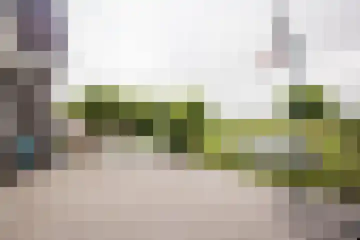 It Ferset 45 Makkum thumbnail 21