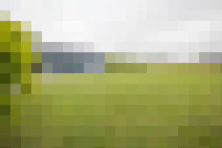 It Ferset 45 Makkum thumbnail 22