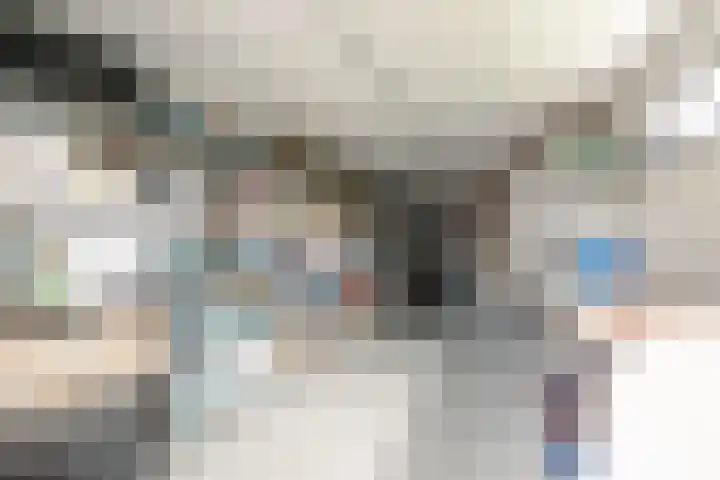 It Ferset 45 Makkum thumbnail 23