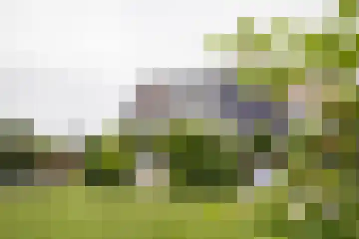 It Ferset 45 Makkum thumbnail 24