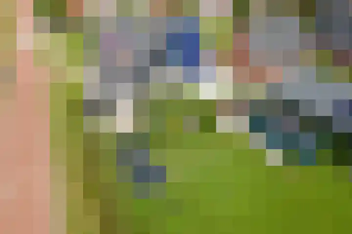 It Ferset 45 Makkum thumbnail 25