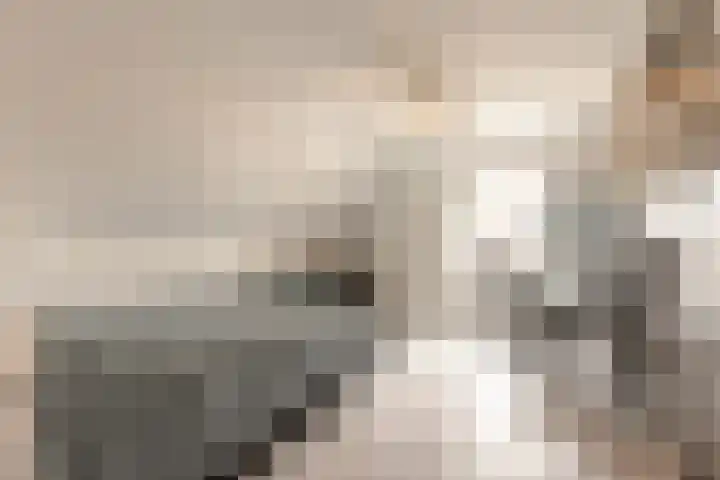 It Ferset 45 Makkum thumbnail 29
