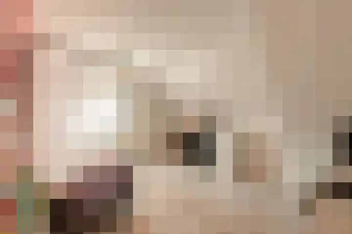 It Ferset 45 Makkum thumbnail 30