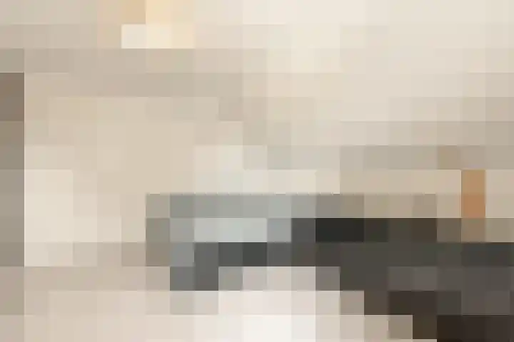It Ferset 45 Makkum thumbnail 32