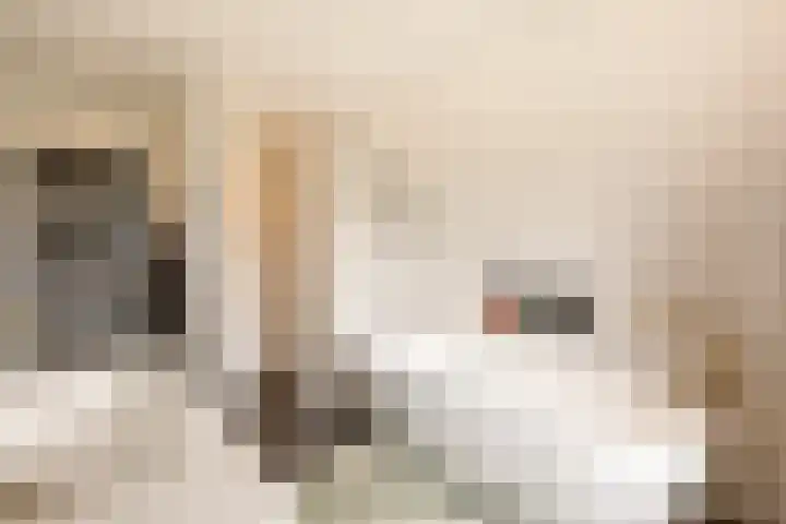 It Ferset 45 Makkum thumbnail 37