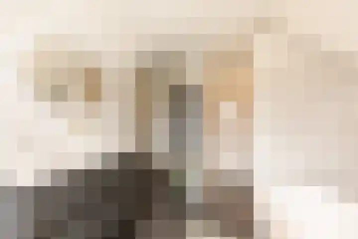 It Ferset 45 Makkum thumbnail 38