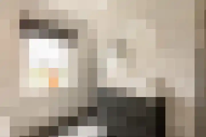 It Ferset 45 Makkum thumbnail 39
