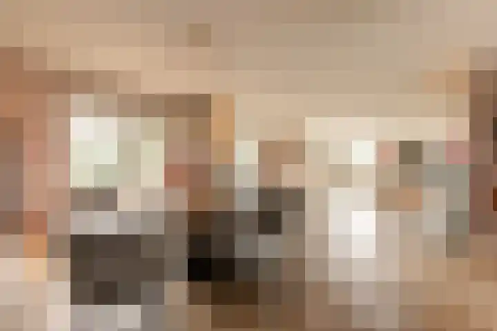 It Ferset 45 Makkum thumbnail 4