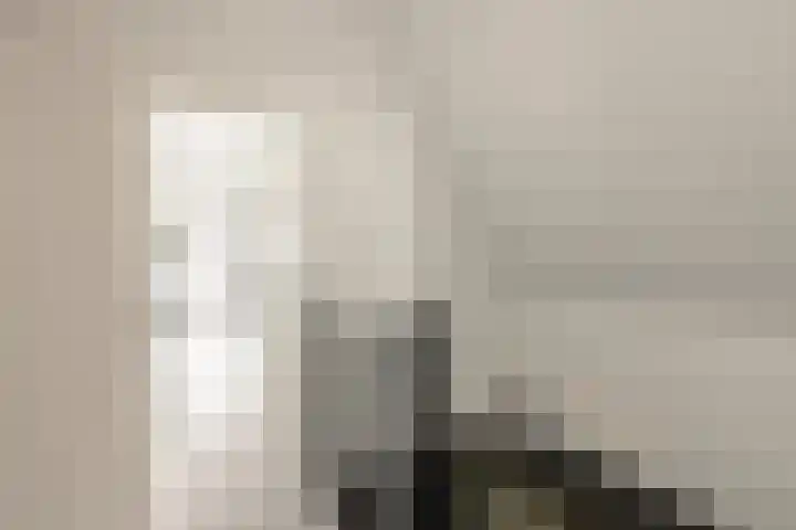 It Ferset 45 Makkum thumbnail 41