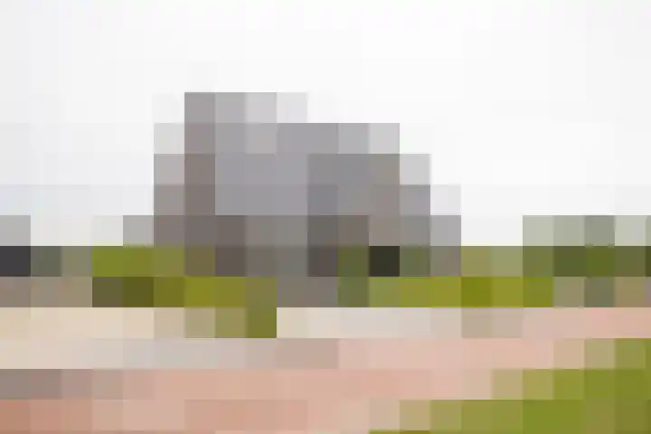 It Ferset 45 Makkum thumbnail 45
