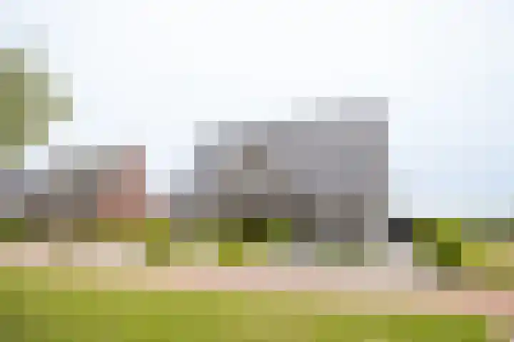 It Ferset 45 Makkum thumbnail 5