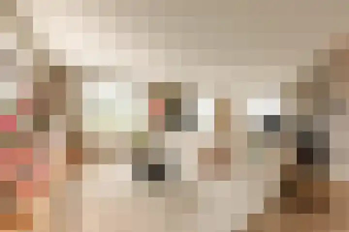 It Ferset 45 Makkum thumbnail 8