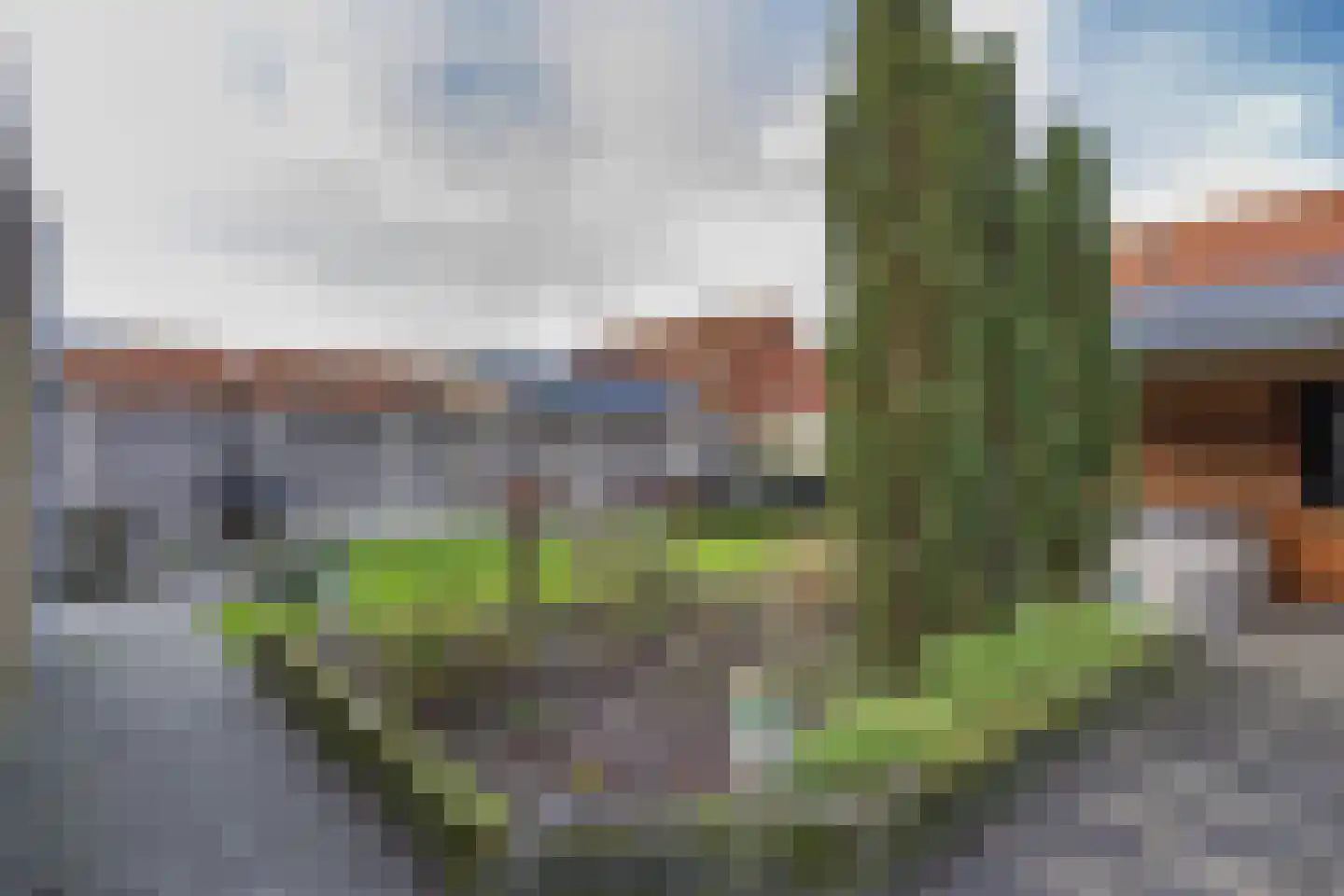 It Ferset 54 Makkum thumbnail 32