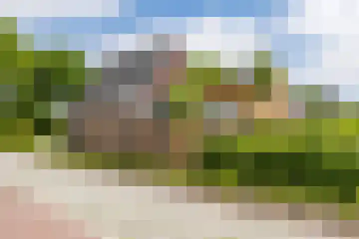 it Fjild 10 Nieuwehorne thumbnail 10