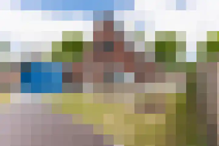 it Fjild 10 Nieuwehorne thumbnail 11