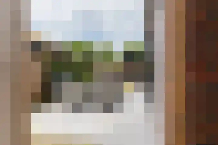 it Fjild 10 Nieuwehorne thumbnail 15