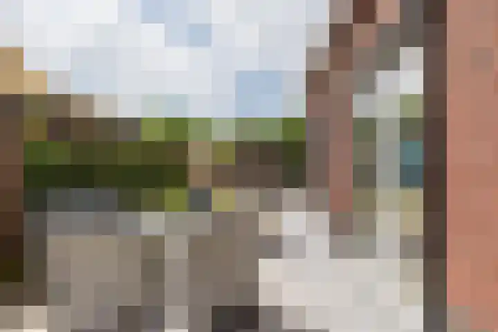 it Fjild 10 Nieuwehorne thumbnail 17