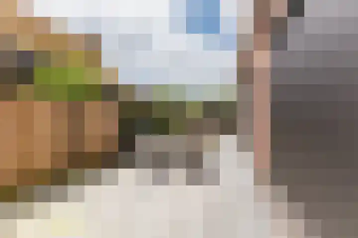 it Fjild 10 Nieuwehorne thumbnail 18