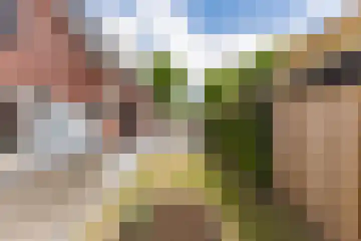 it Fjild 10 Nieuwehorne thumbnail 19