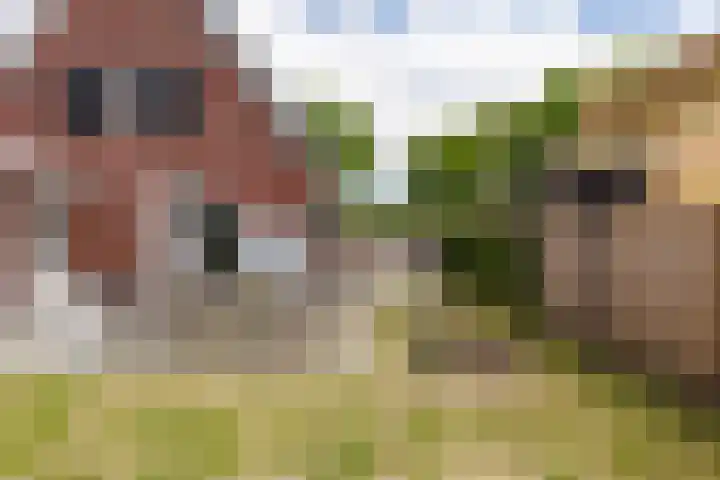 it Fjild 10 Nieuwehorne thumbnail 20