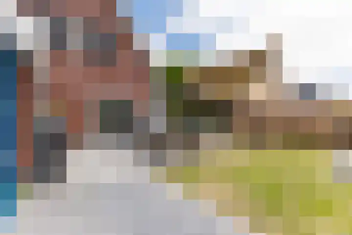 it Fjild 10 Nieuwehorne thumbnail 21