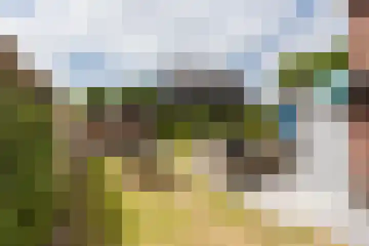 it Fjild 10 Nieuwehorne thumbnail 22