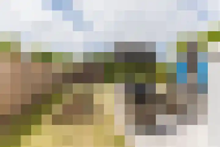 it Fjild 10 Nieuwehorne thumbnail 23