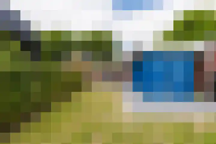 it Fjild 10 Nieuwehorne thumbnail 24