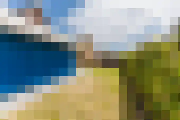 it Fjild 10 Nieuwehorne thumbnail 25