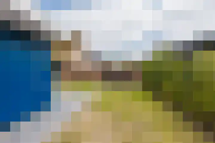 it Fjild 10 Nieuwehorne thumbnail 26