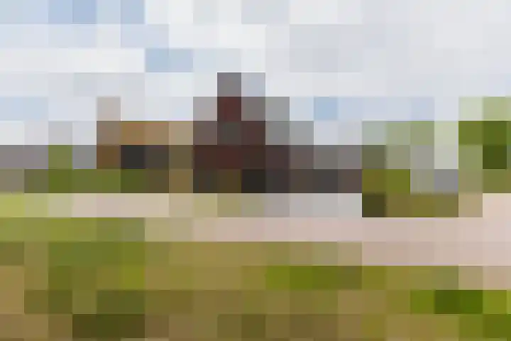 it Fjild 10 Nieuwehorne thumbnail 27