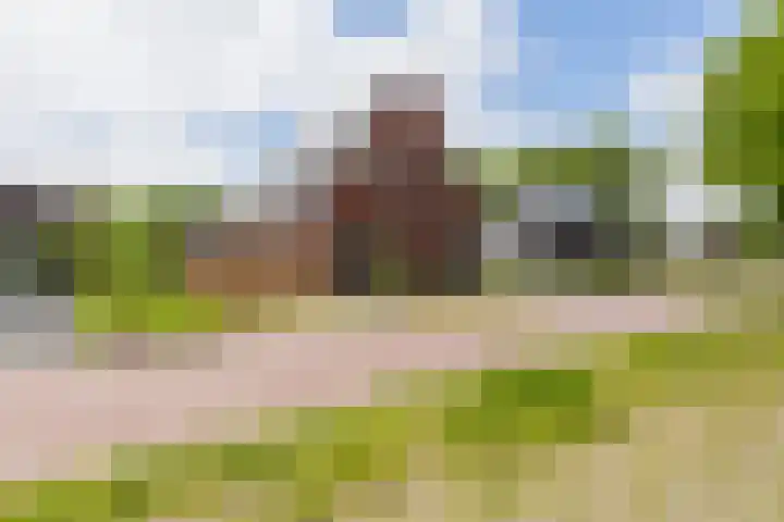 it Fjild 10 Nieuwehorne thumbnail 28