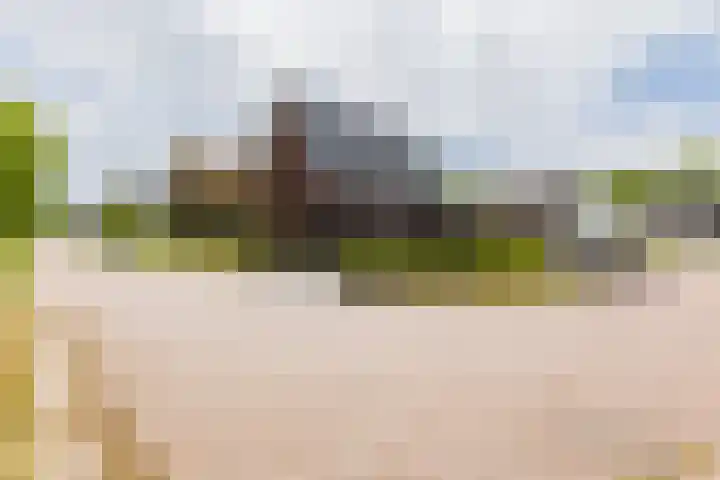 it Fjild 10 Nieuwehorne thumbnail 29