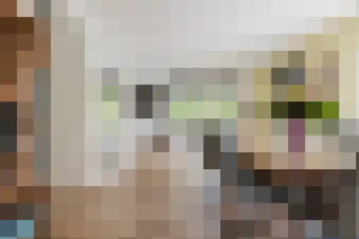 it Fjild 10 Nieuwehorne thumbnail 33