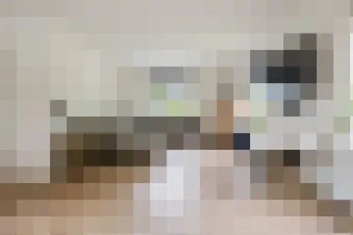 it Fjild 10 Nieuwehorne thumbnail 34