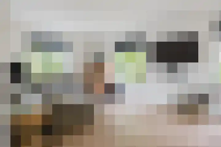 it Fjild 10 Nieuwehorne thumbnail 35