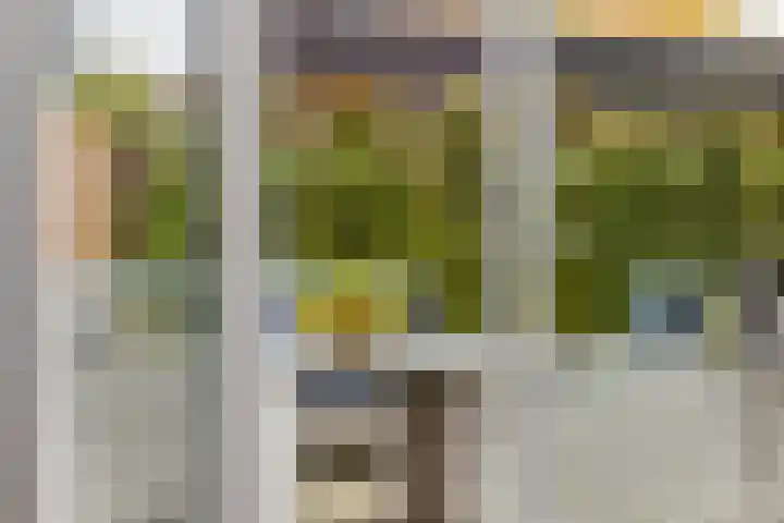 it Fjild 10 Nieuwehorne thumbnail 37