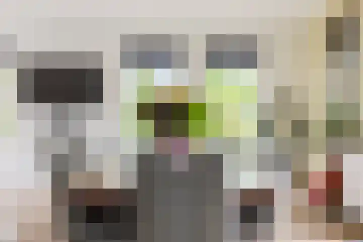it Fjild 10 Nieuwehorne thumbnail 39