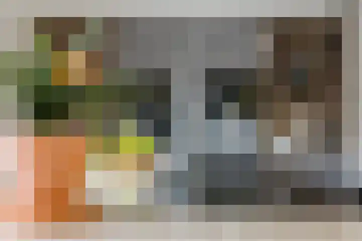 it Fjild 10 Nieuwehorne thumbnail 4